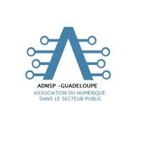 ADNSP - Association du numérique dans le secteur public